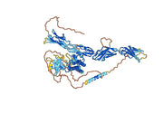 Mecbotamab Biosimilar - Anti-AXL mAb - Research Grade