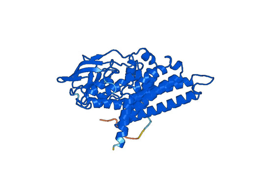 Medium-chain specific acyl-CoA dehydrogenase, mitochondrial(Acadm)