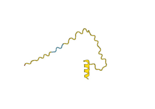 Merozoite surface protein 3 (PF3D7_1035400)