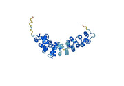 Mesothelin(MSLN)protein
