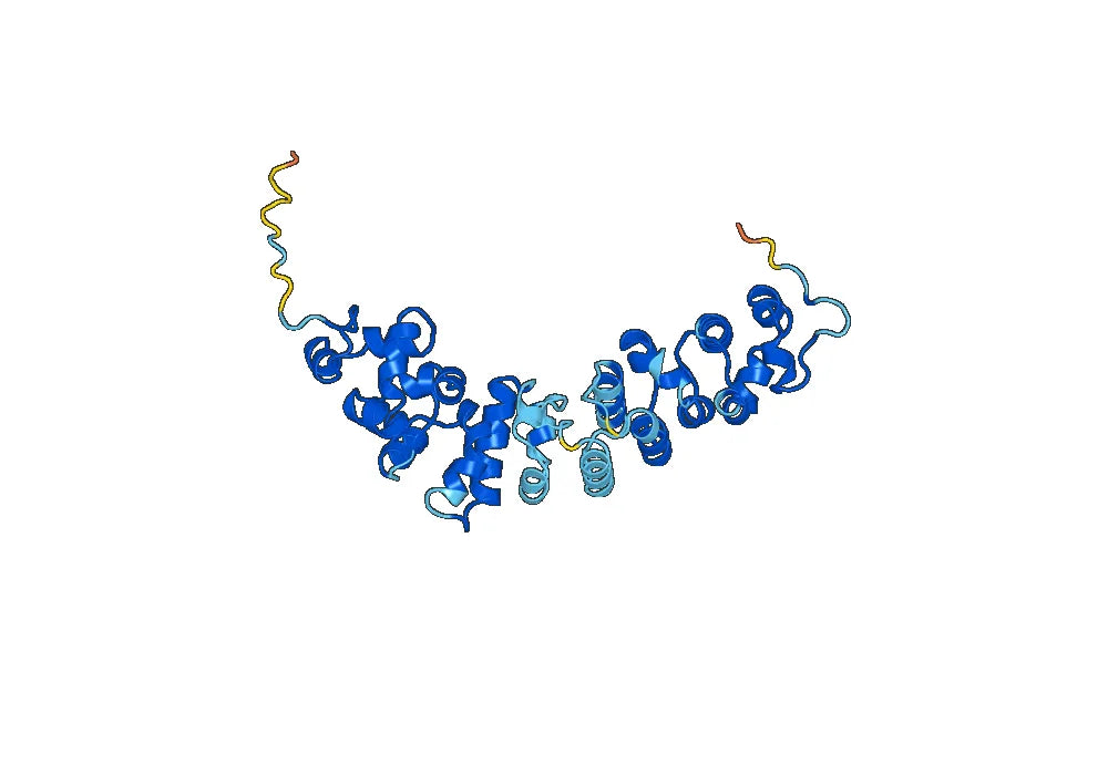 Mesothelin(MSLN)protein