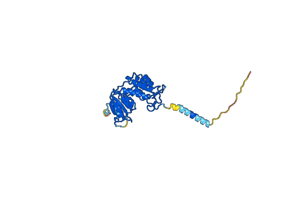 Mezagitamab Biosimilar - Anti-CD38 mAb - Research Grade