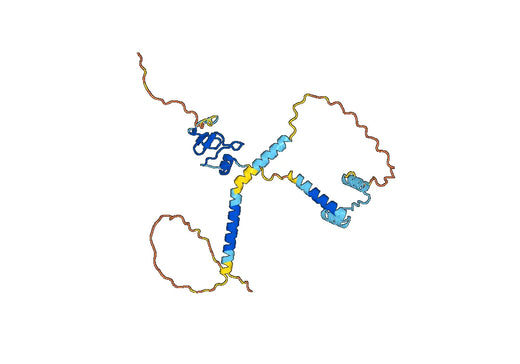 Milatuzumab ELISA Kit