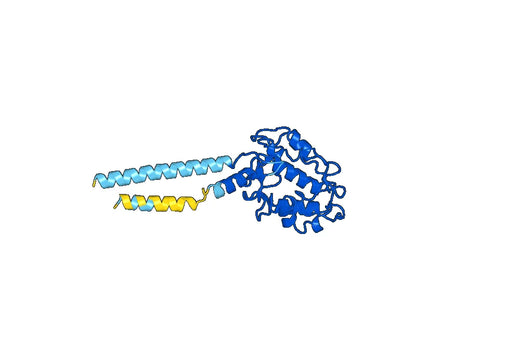 Mirvetuximab ELISA Kit