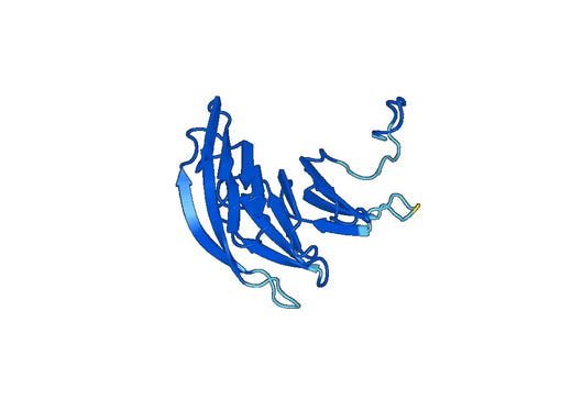 MLST8, N-His, recombinant protein
