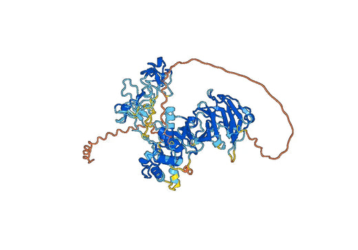 MMP9, C-His, recombinant protein