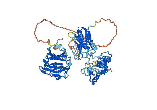 MMP9 (Met94-Asp707), N-His, recombinant protein