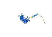 Modakafusp Biosimilar - Anti-ADPRC mAb - Research Grade