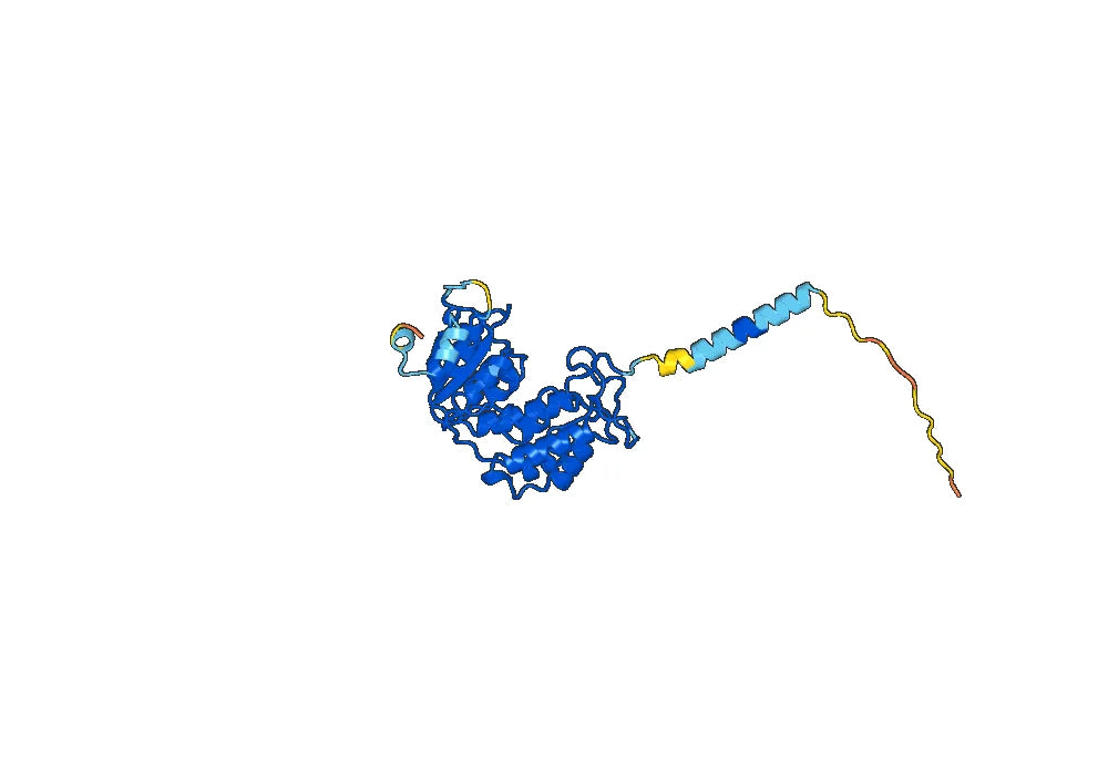 Modakafusp Biosimilar - Anti-ADPRC mAb - Research Grade