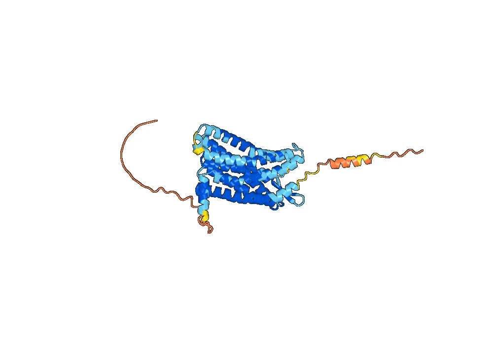 Mogamulizumab Biosimilar - Anti-CCR4, CD194 mAb - Research Grade