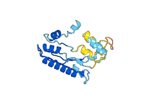 MOGAT1, N-His, recombinant protein