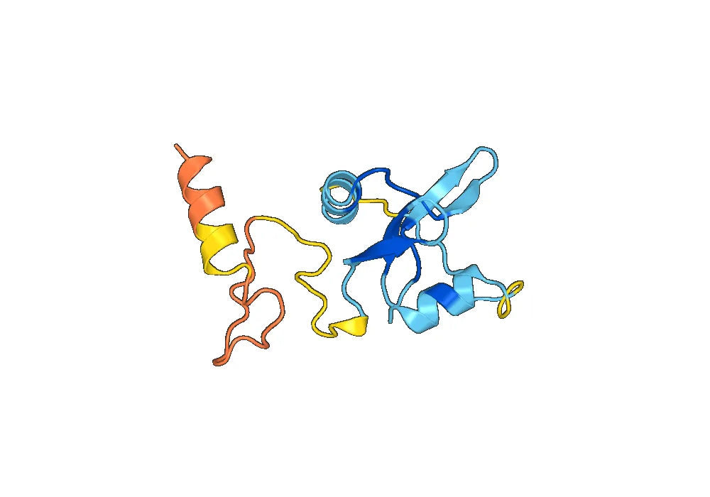 Monkeypox virus/MPXV A30L Recombinant Protein, N-His
