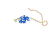 Monkeypox virus/MPXV A35R Recombinant Protein, N-GST & C-His