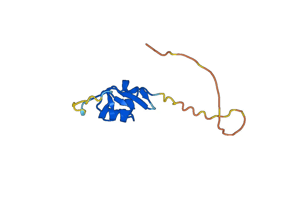 Monkeypox virus/MPXV A35R Recombinant Protein, N-GST & C-His