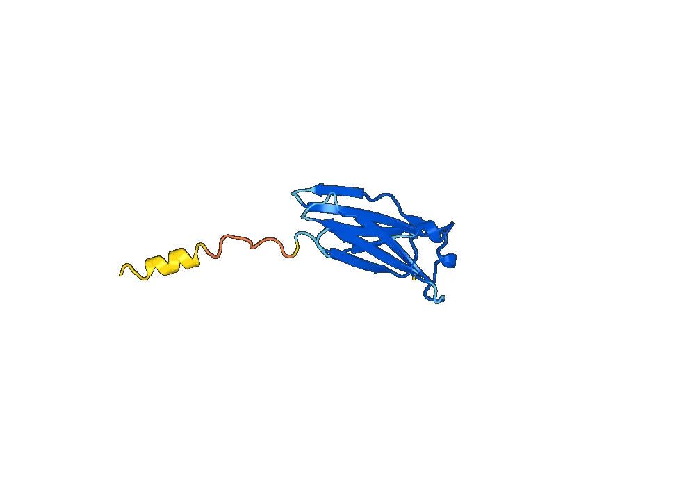 Monkeypox virus/MPXV D6L Recombinant Protein, N-His