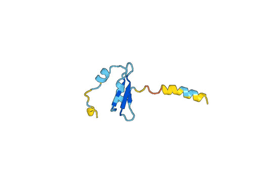 Monocyte differentiation antigen CD14（CD14）