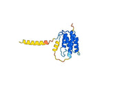 MOR014824 Biosimilar - Anti-TSLP mAb - Research Grade