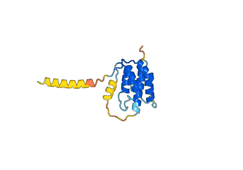MOR014824 Biosimilar - Anti-TSLP mAb - Research Grade