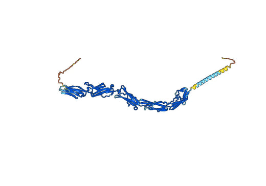 MOR102 Biosimilar - Anti-ICAM1, CD54 mAb - Research Grade