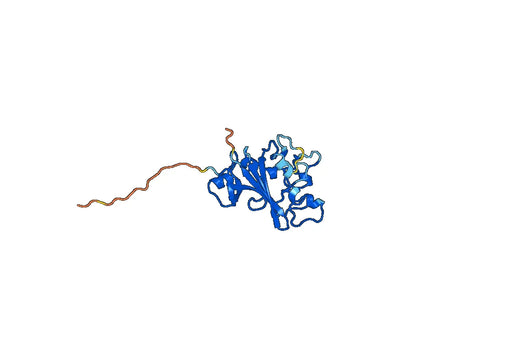Mouse ANGPTL4 recombinant protein