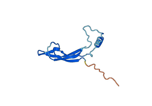 Mouse ARTN recombinant protein