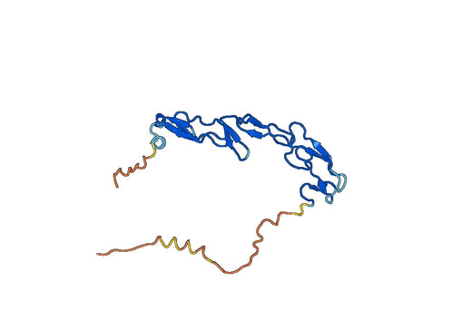Mouse CD120a recombinant protein