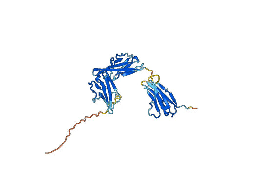 Mouse CD121a recombinant protein