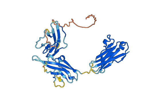Mouse CD121b recombinant protein
