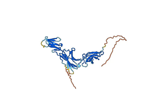 Mouse CD126 recombinant protein