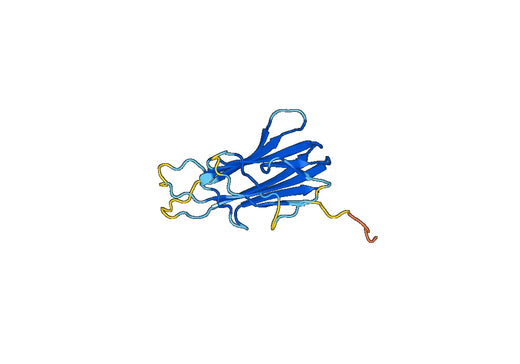 Mouse CD154 recombinant protein