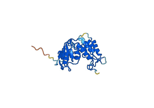 Mouse CD157 recombinant protein