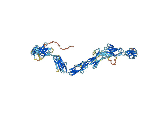 Mouse CD309 recombinant protein