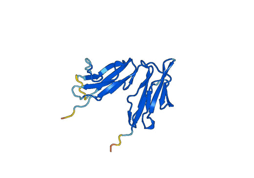 Mouse CD32 recombinant protein