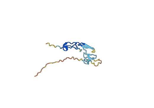 Mouse CD357 recombinant protein