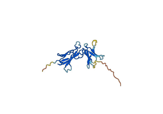 Mouse CD360 recombinant protein