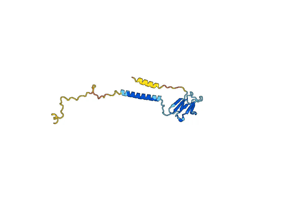 Mouse CD3E Monoclonal Antibody