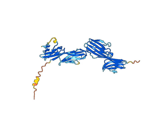 Mouse CD4 recombinant protein