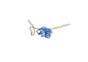 Mouse CD47 recombinant protein