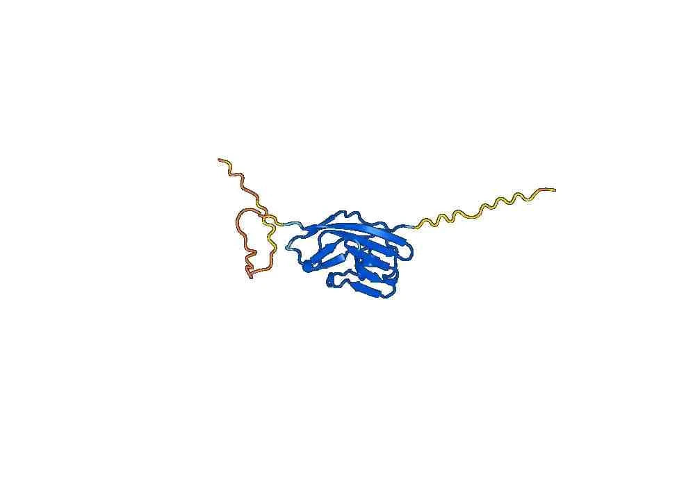 Mouse CD47 recombinant protein