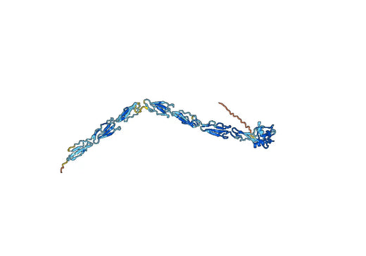 Mouse CD62E recombinant protein