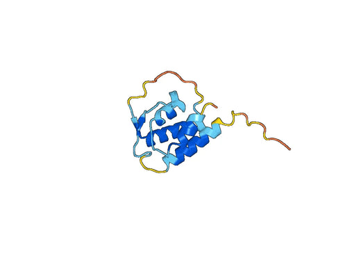 Mouse IL13 recombinant protein