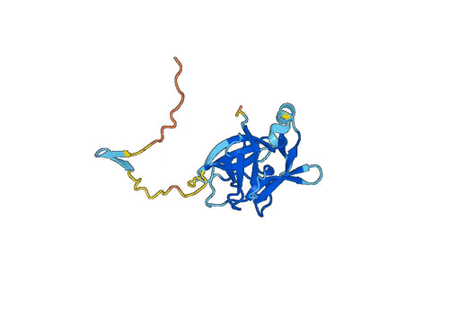 Mouse Interleukin-18(Il18)