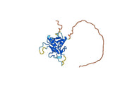 Mouse LAYN recombinant protein