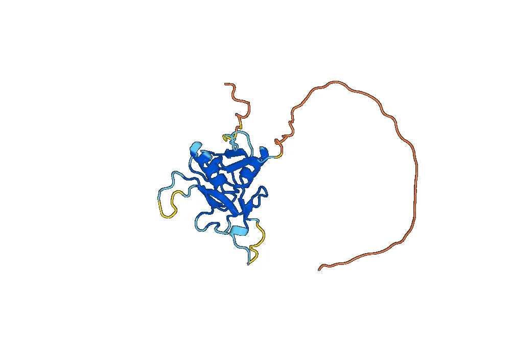 Mouse LAYN recombinant protein