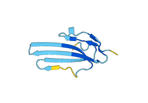 Mouse LY6E recombinant protein