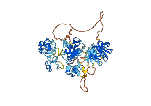 Mouse MMP9 recombinant protein