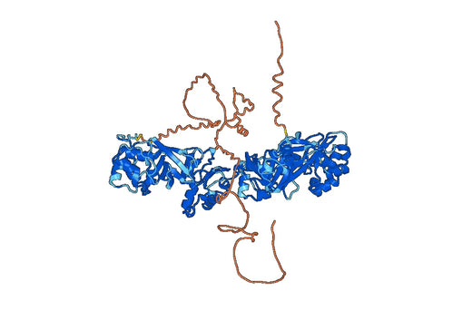 Mouse POSTN recombinant protein