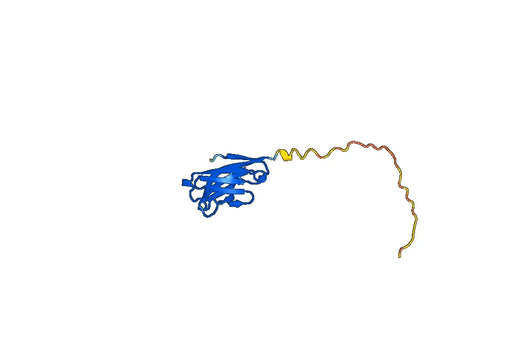 Mouse TREM2 recombinant protein