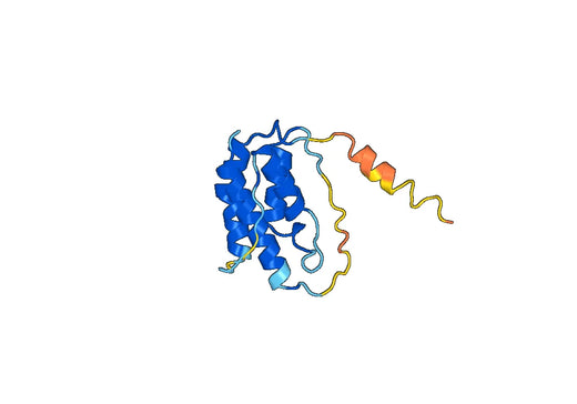 Mouse TSLP recombinant protein