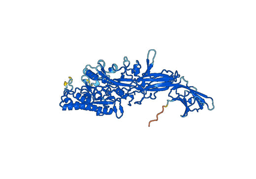 MousePAD2 Protein-arginine deiminase type-2 Mouse Recombinant Protein